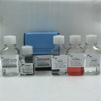 【名称】:人脏器组织白细胞分离液试剂盒(细胞培养及分子生物学专用)